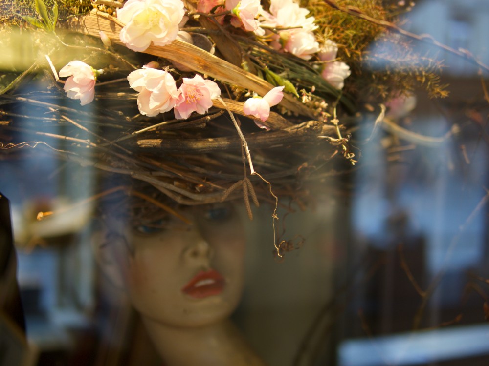 OLYMPUS DIGITAL CAMERA