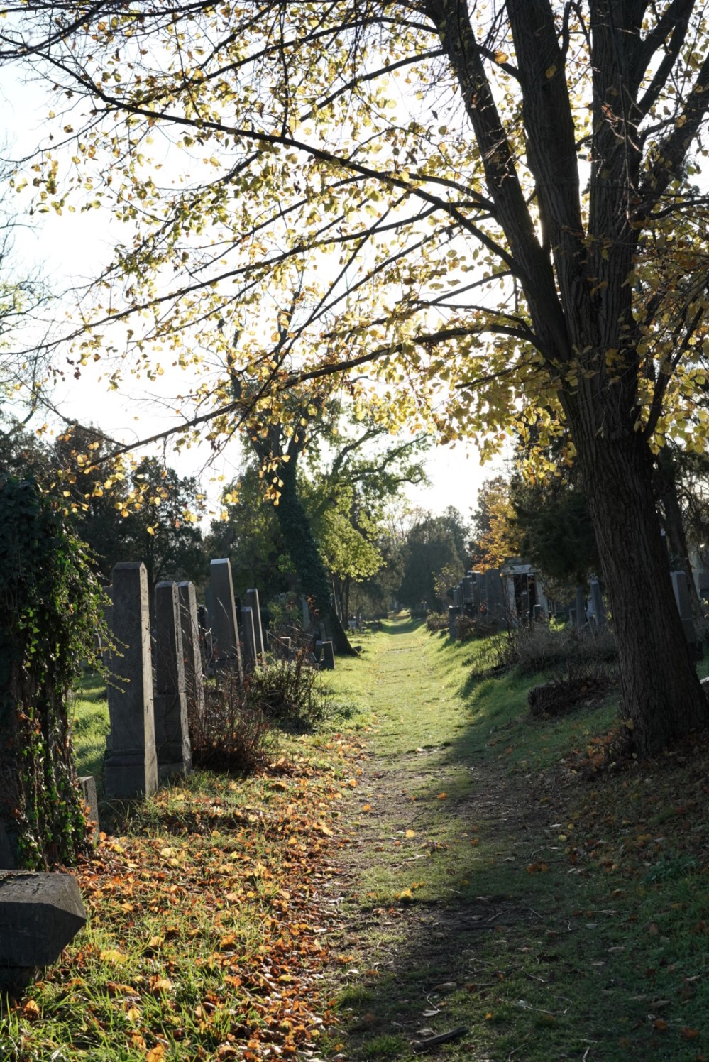 17DDEB7B-79E4-42DB-BA94-B149A58EB701