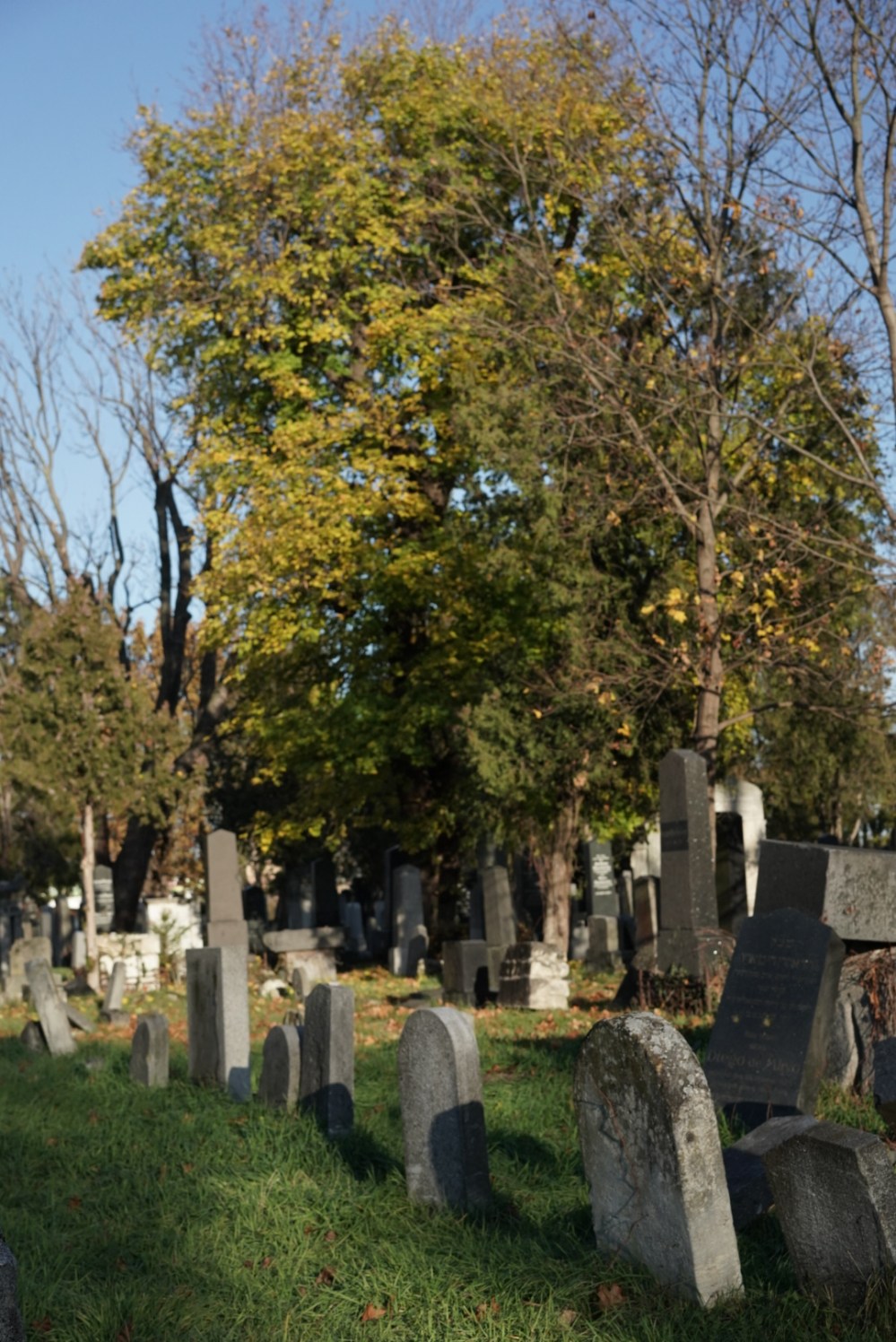 384B5E28-4E34-4845-90C4-B623EB30E306