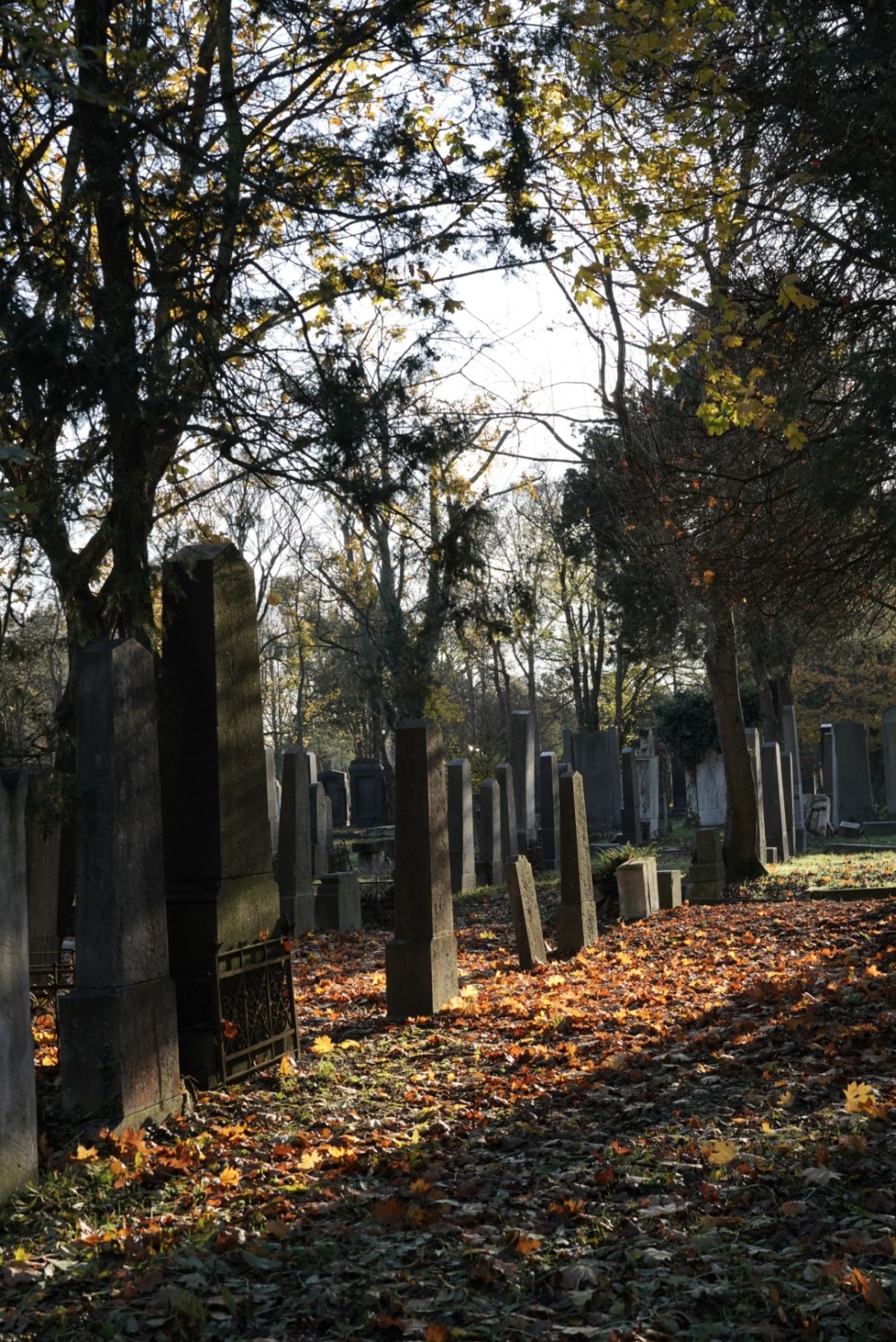 74787AF7-83EA-4766-B09C-9A8210B24313