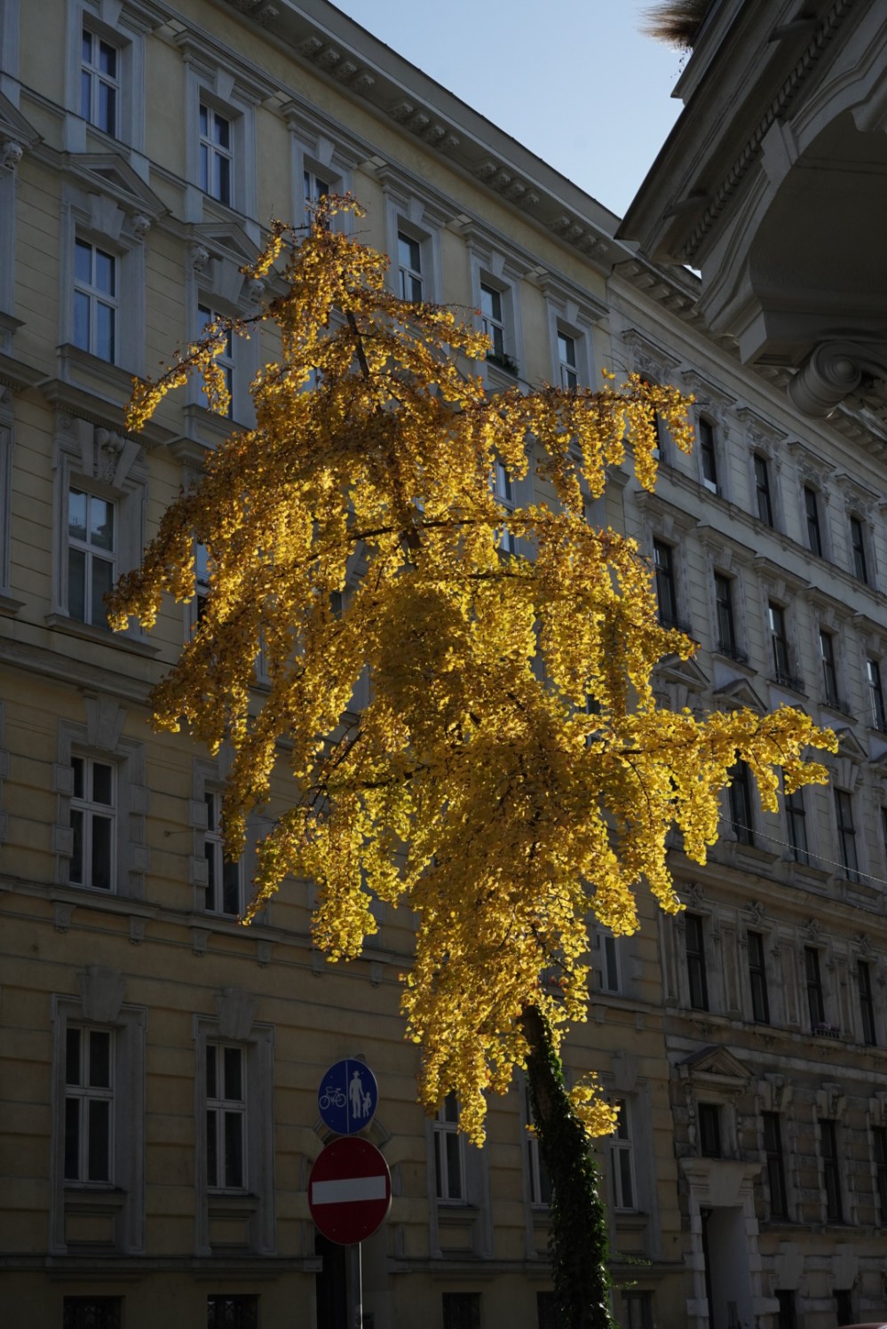 8CF12CE0-7C43-4129-B9F2-8BBFD21977A0