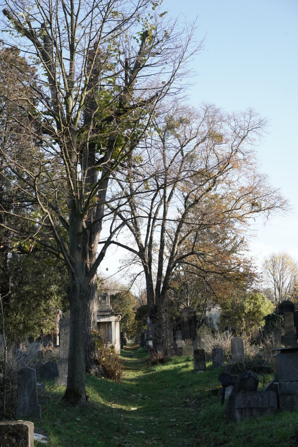 8F7167E5-1924-4718-BD73-FDE2257BEDEF