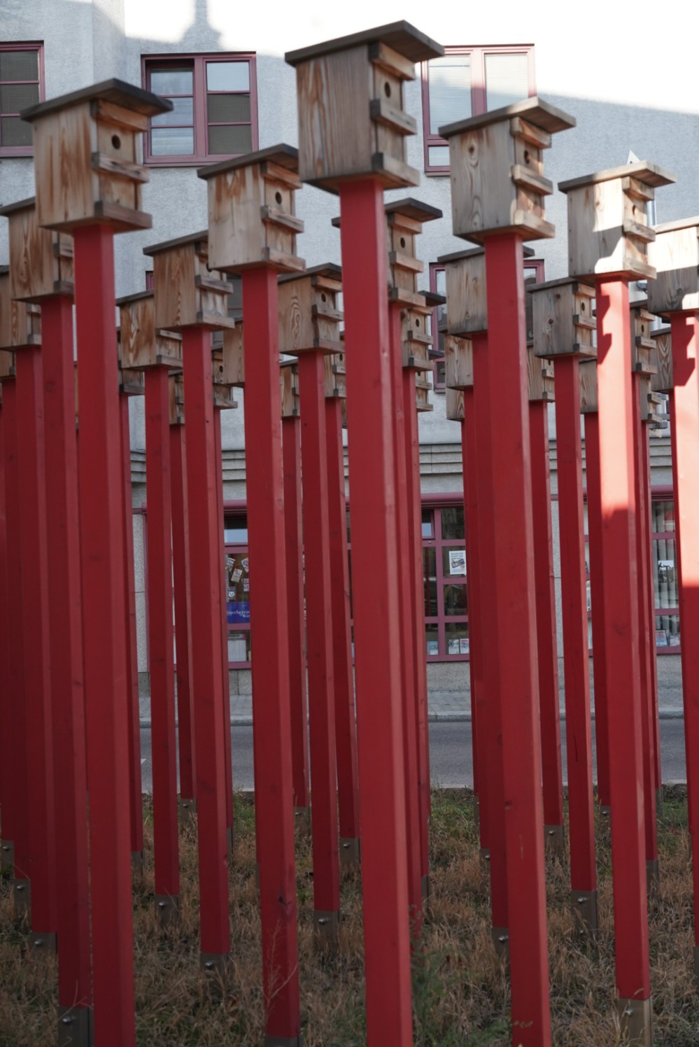 DA508FE7-944A-43E0-AD0B-2BE2EA344C9A