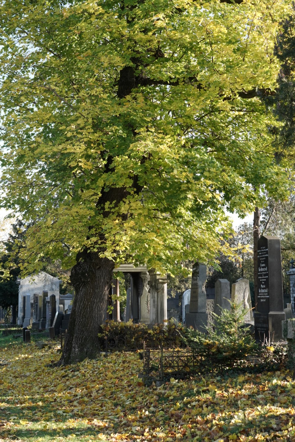 FF05AF7D-0650-4F52-8437-F9A4FEC8F311