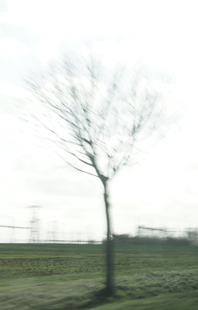 537D9EA1-6EAF-481A-984C-5BB6467C4260