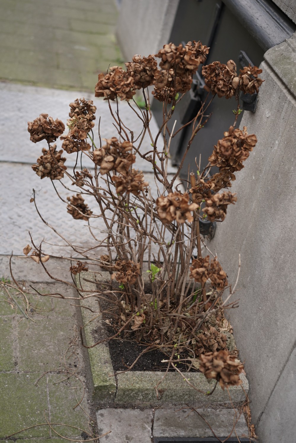 1FD8AF5F-5C93-4326-AF61-64EF459F3210