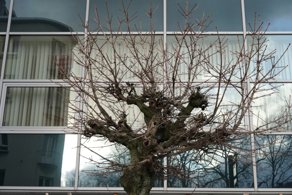 3AFD5D3E-4CF7-4951-94F2-3238B9B8F77A