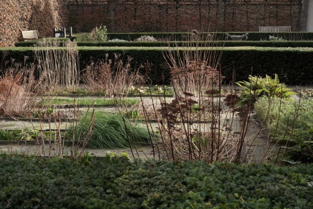 4E559A29-BBBF-415D-B5AF-D97E486A72DC