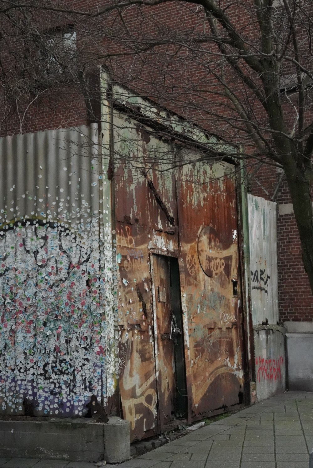 557E2A8C-5FAD-4AC7-8729-EC23B97B29CB