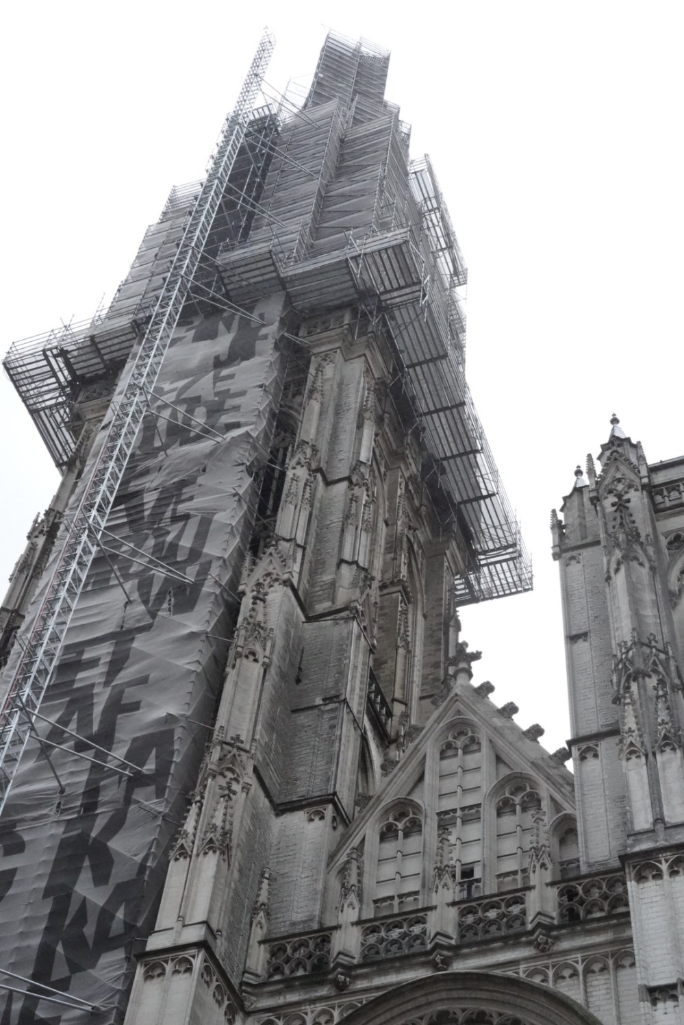 94CC07EB-BB02-4488-917B-1C29FFCB7556