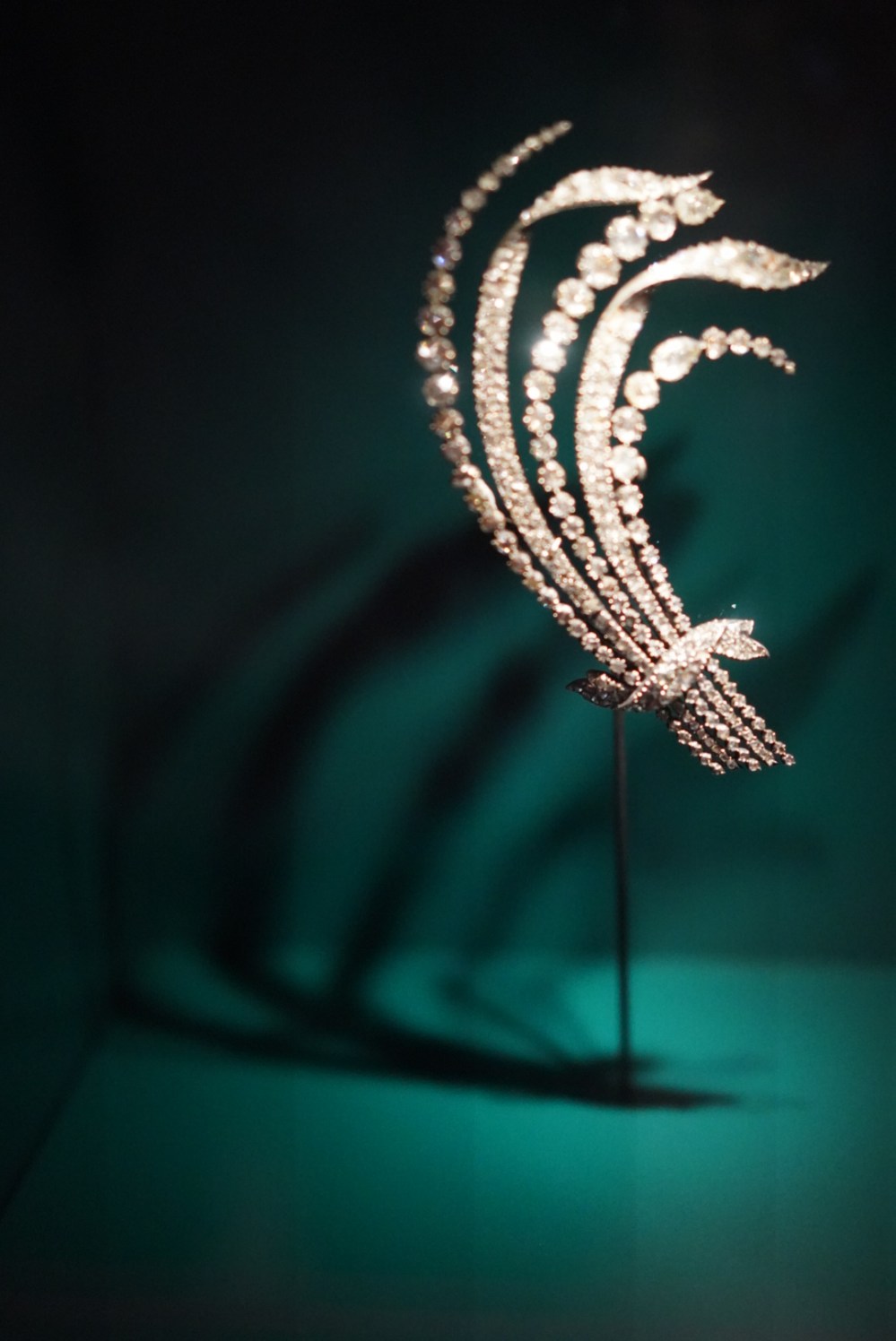 A4B91BD5-C208-4DBC-94E8-8E7618514325