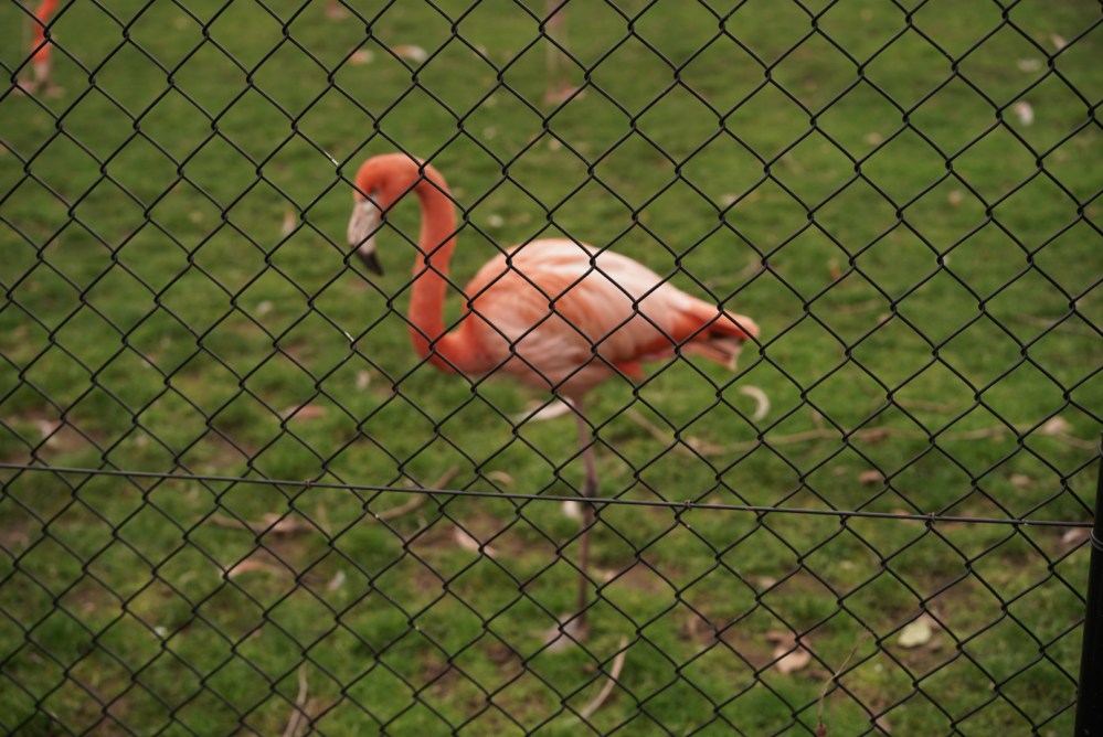 D5FD36B2-ECB3-4D67-9B49-9CD593FCF81F