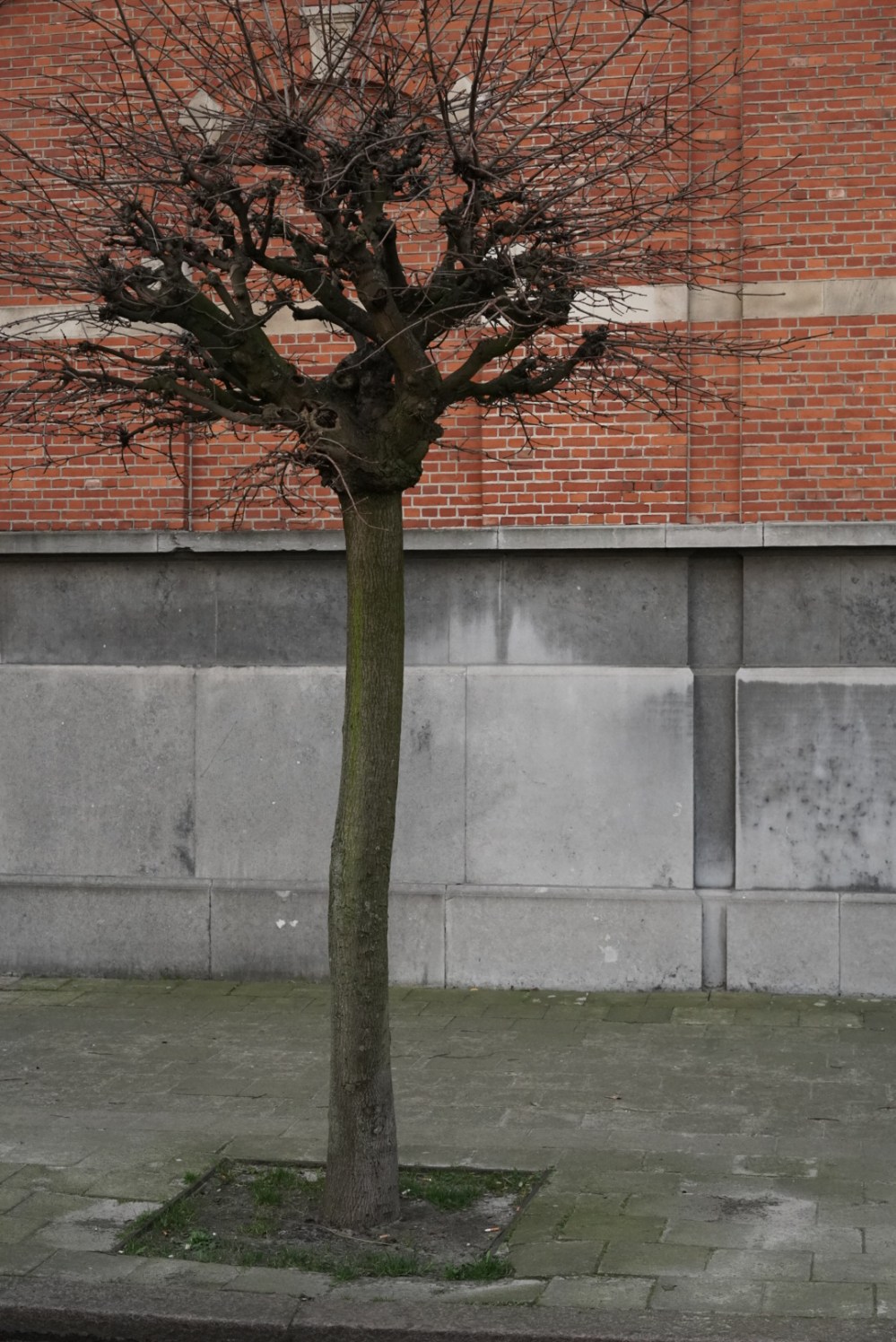 E41E35D8-165F-4CED-84A3-6C3AE4866630