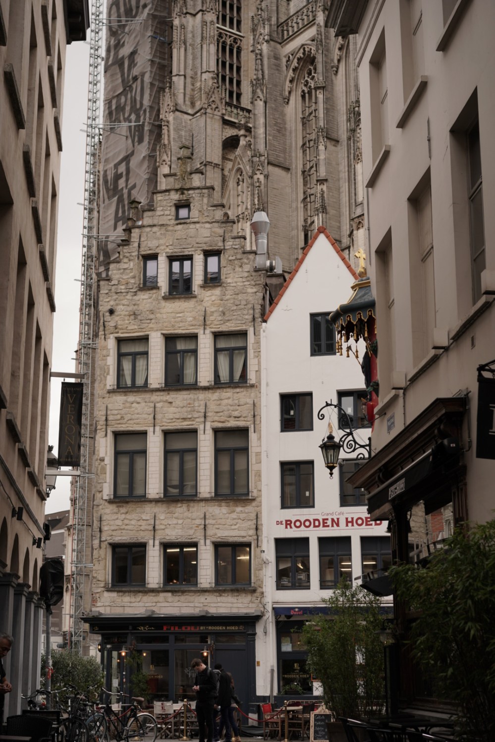 E8987519-1B91-4422-8E50-F3D8D9FBF4F6