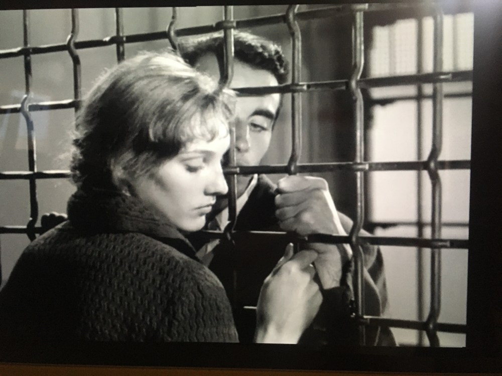 02F841B9-F536-482C-8149-B8BB8A2300DF