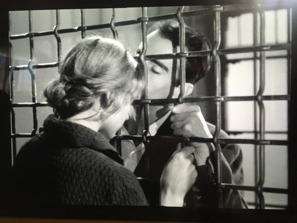 7FADA902-44E6-4121-B5C8-20E5786B3560