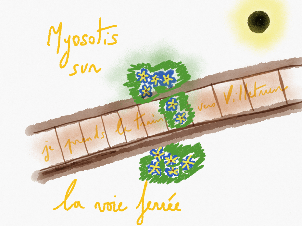 9F0E3E84-A201-400E-AD27-27C20D4E51AB