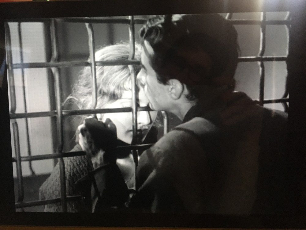 AEF7AF0A-5C36-400D-AC5D-B0086F3B6DF3